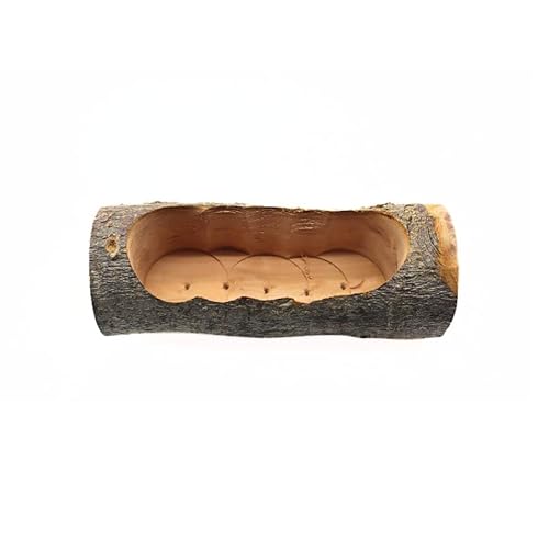 DEFKIYT Hamster Holz Futternapf Futterschale Futterschale für Meerschweinchen Chinchilla Rennmäuse Hamsterkäfig Zubehör Fütterung für Ihre Kleintiere DEFKIYT Hamster Holz Futternapf Futterschale Futterschale für Meerschweinchen Chinchilla Rennmäuse Hamsterkäfig Zubehör Fütterung für Ihre Kleintiere von DEFKIYT