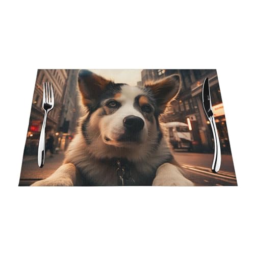 City Dog Tischsets Set mit 1 Stück, hitzebeständige, rutschfeste Tischsets für Esstisch, waschbar, langlebig, PVC-Vinyl, gewebte Tischsets City Dog Tischsets Set mit 1 Stück, hitzebeständige, rutschfeste Tischsets für Esstisch, waschbar, langlebig, PVC-Vinyl, gewebte Tischsets von DEHIWI