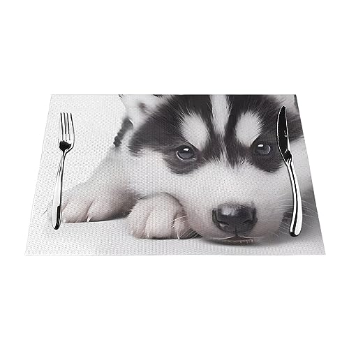 Hunde-Tischsets Set mit 1 Stück, hitzebeständige, rutschfeste Tischsets für Esstisch, waschbar, langlebig, PVC-Vinyl, gewebte Tischmatten von DEHIWI