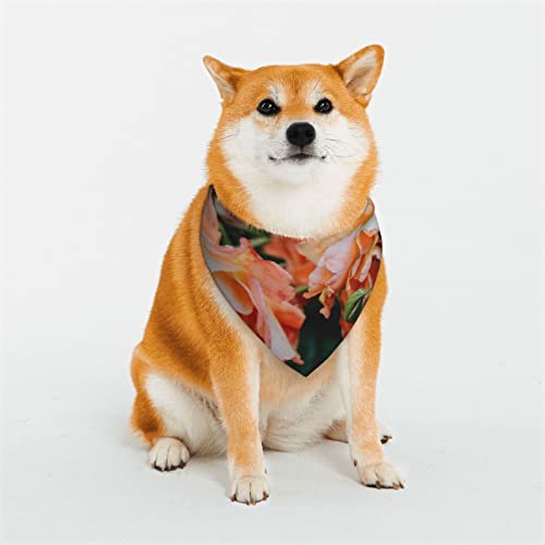 Hundehalstuch, Motiv: Rosen, Blumen, weich, wendbar, dreieckig, waschbar, verstellbar, Sommertuch für kleine bis große Hunde von DEHIWI