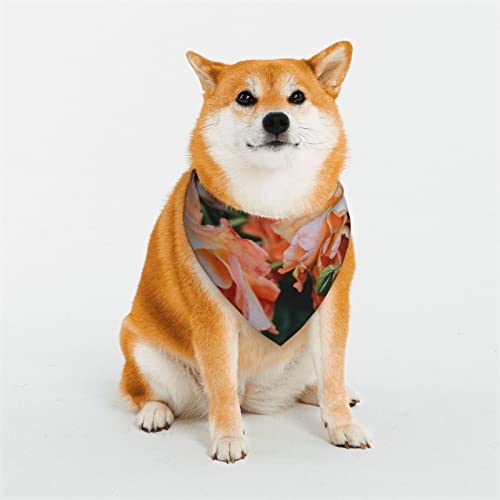 Hundehalstuch, Motiv: Rosen, Blumen, weich, wendbar, dreieckig, waschbar, verstellbar, Sommertuch für kleine bis große Hunde Hundehalstuch, Motiv: Rosen, Blumen, weich, wendbar, dreieckig, waschbar, verstellbar, Sommertuch für kleine bis große Hunde von DEHIWI