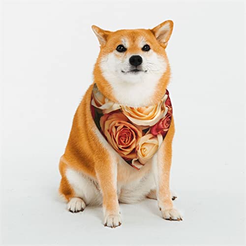 Hundehalstuch, Motiv: Rosenblüte, weich, wendbar, dreieckig, waschbar, verstellbar, Sommertuch für kleine bis große Hunde Hundehalstuch, Motiv: Rosenblüte, weich, wendbar, dreieckig, waschbar, verstellbar, Sommertuch für kleine bis große Hunde von DEHIWI