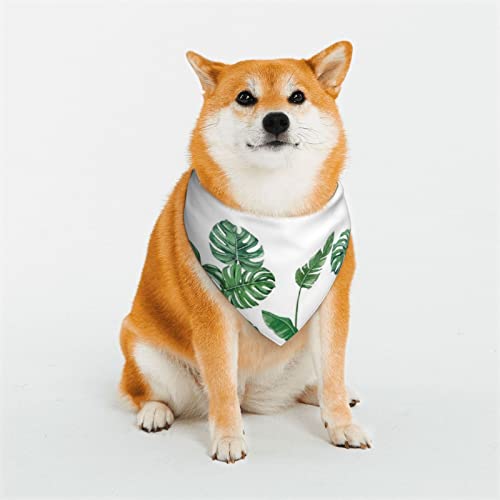 Hundehalstuch, Motiv: grüne Pflanzen, frische Blätter, weich, wendbar, dreieckig, waschbar, verstellbar, Sommertuch für kleine bis große Hunde Hundehalstuch, Motiv: grüne Pflanzen, frische Blätter, weich, wendbar, dreieckig, waschbar, verstellbar, Sommertuch für kleine bis große Hunde von DEHIWI