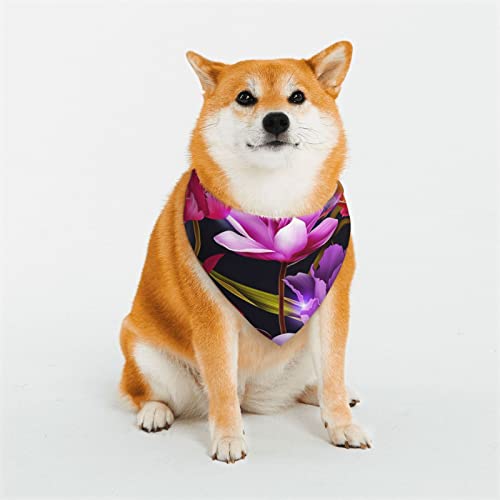 Hundehalstuch, weich, wendbar, dreieckig, waschbar, verstellbar, Sommertuch für kleine bis große Hunde Hundehalstuch, weich, wendbar, dreieckig, waschbar, verstellbar, Sommertuch für kleine bis große Hunde von DEHIWI