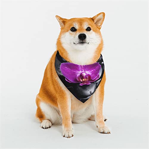 Hundehalstuch, weich, wendbar, dreieckig, waschbar, verstellbar, Sommertuch für kleine bis große Hunde Hundehalstuch, weich, wendbar, dreieckig, waschbar, verstellbar, Sommertuch für kleine bis große Hunde von DEHIWI