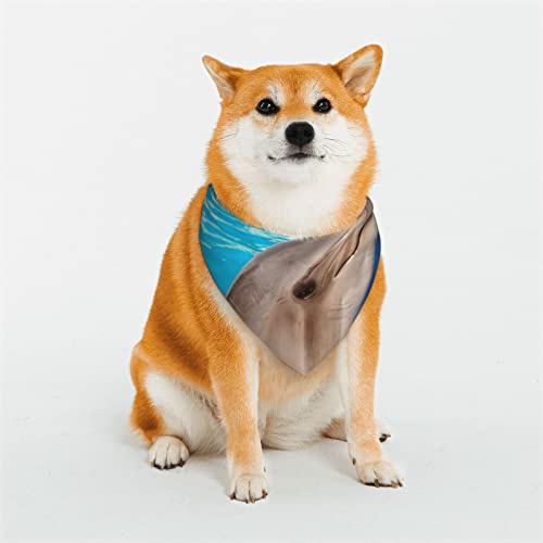 Lustiges Hundehalstuch, Delfin, weich, wendbar, dreieckig, waschbar, verstellbar, Sommertuch für kleine bis große Hunde Lustiges Hundehalstuch, Delfin, weich, wendbar, dreieckig, waschbar, verstellbar, Sommertuch für kleine bis große Hunde von DEHIWI