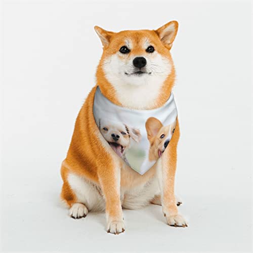 Lustiges Hundehalstuch, weich, wendbar, dreieckig, waschbar, verstellbar, Sommertuch für kleine bis große Hunde Lustiges Hundehalstuch, weich, wendbar, dreieckig, waschbar, verstellbar, Sommertuch für kleine bis große Hunde von DEHIWI