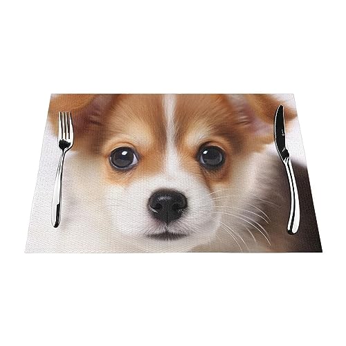 Niedliches Hunde-Tischset, hitzebeständig, rutschfest, waschbar, langlebig, PVC-Vinyl, gewebt, 1 Stück Niedliches Hunde-Tischset, hitzebeständig, rutschfest, waschbar, langlebig, PVC-Vinyl, gewebt, 1 Stück von DEHIWI
