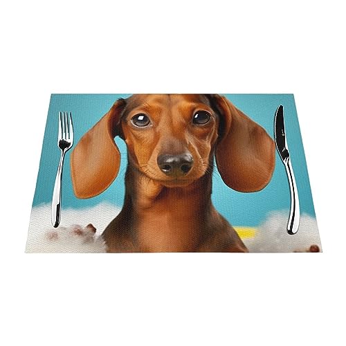 Platzdeckchen-Set, Motiv: Dackel, hitzebeständig, rutschfest, für Esstisch, waschbar, langlebig, PVC-Vinyl, gewebt, 1 Stück Platzdeckchen-Set, Motiv: Dackel, hitzebeständig, rutschfest, für Esstisch, waschbar, langlebig, PVC-Vinyl, gewebt, 1 Stück von DEHIWI