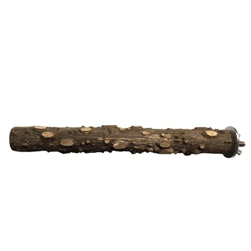 10/15/20 cm Vogelkralle, Schnabelschleifstange, Stehstab, Kralle, Vogelzubehör, Käfigzubehör, Papageienstation, Schleifen, Holz, 20 cm 10/15/20 cm Vogelkralle, Schnabelschleifstange, Stehstab, Kralle, Vogelzubehör, Käfigzubehör, Papageienstation, Schleifen, Holz, 20 cm von DEJIN
