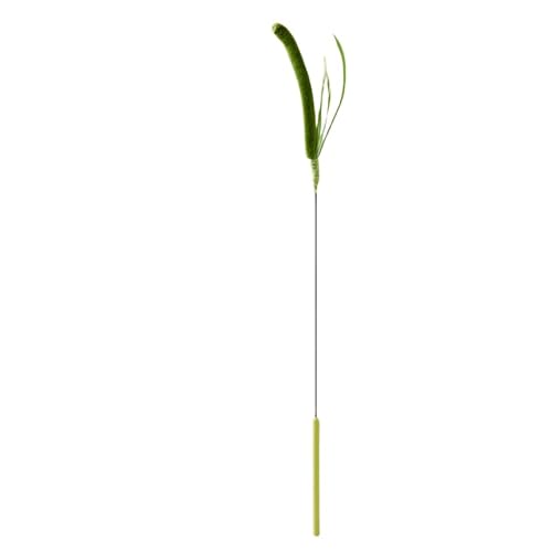 DEJIN Katzenspielzeug, bissfest, langer Stab, selbstberuhigendes Werkzeug, für Hunde, Salbei, Federschwanz, Gras, Katzenspielzeug, Haustierbedarf, Grün, 50 cm von DEJIN