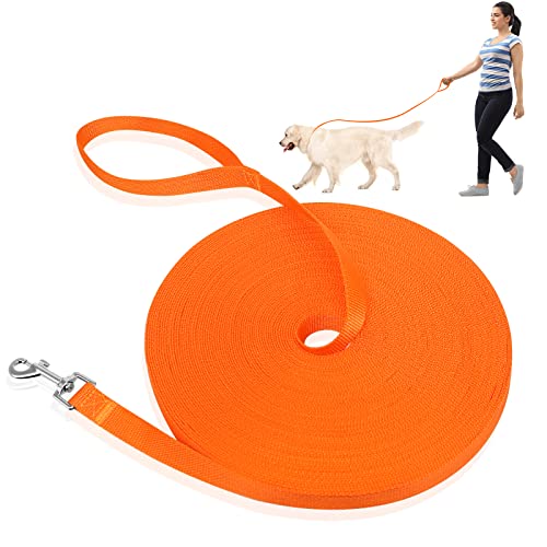 DELEE Hundetrainingsleine, 30 m extra Lange Leine, strapazierfähige Nylonleine für Haustiertraining, Rückruf, Gehorsam, Tracking, Camping, Spielen, Garten (30 m, orange) von DELEE