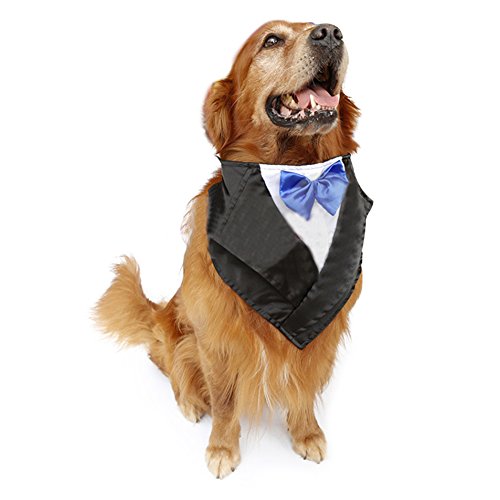 DELIFUR Hochzeit Tuxedo Groß Hund Bandana Schal Verstellbare Katze Kragen Halstuch Pet Dress-up Kleidung für Hochzeit oder Halloween von DELIFUR