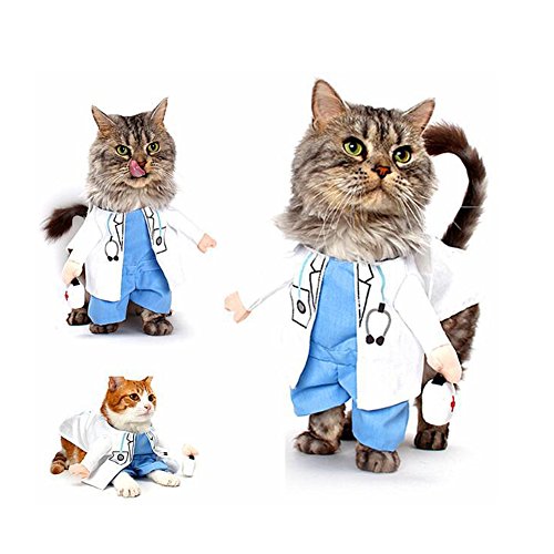 DELIFUR Hund Katze Arzt Kostüm Haustier Arzt Kleidung Halloween Jeans Outfit Bekleidung (XS, Arzt) von DELIFUR