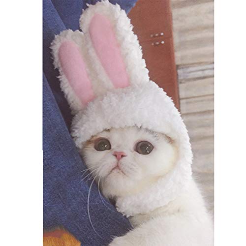 DELIFUR Katze Kaninchen Hut Kitty Bunny Kostüm Kleine Katze Ostern Kostüm Kleines Haustier Halloween Geburtstagsmütze von DELIFUR