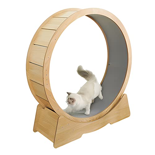 Indoor-Katzen-Übungsrad – Lauf-/Dreh-/Kratzspaß, Laufband for Abnehmen for Katzen mit Sicherheitsschloss und Teppichlaufbahn, einfach zu montieren (Size : L) von DELURA