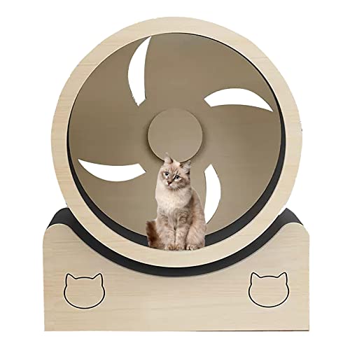 Katzen-Übungsrad im Radstil, Gewichtsverlustgerät for kleine Katzen mit Teppichlaufbahn, Indoor-Katzen-Spin-Sportspielzeug, nahtloses Design, Keine Montage Katzen-Übungsrad im Radstil, Gewichtsverlustgerät for kleine Katzen mit Teppichlaufbahn, Indoor-Katzen-Spin-Sportspielzeug, nahtloses Design, Keine Montage von DELURA