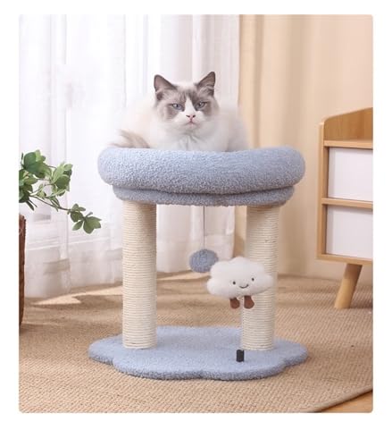 Katzenkletterregal, Katzenstreu, EIN Katzenregal, Katzenspielzeug, Kratzbaum, Heimtierbedarf, Haustierspielzeug, Doppellagiges, Weiches Kissen Einfach zu montieren (Color : Light Blue) von DELURA
