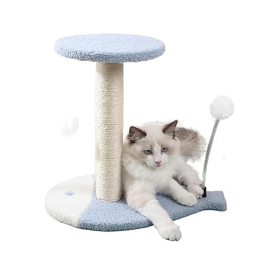 Katzenkratzer, Katzenklettergerüst, Kratzbaum for Katzen, Springendes Spielzeug, Couchschutz, Möbel, Katzenkratzer, Spielzeug, Haustierprodukte Einfach zu montieren (Size : Blue) von DELURA