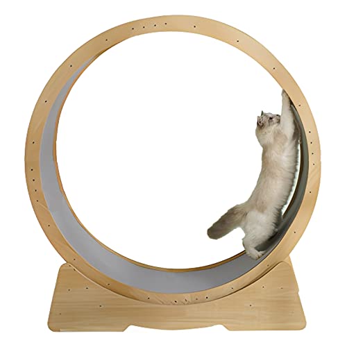 Katzenlaufrad for Hauskatzen, Kitty Cats Sportspielzeug – geräuschlose Rollen, 37,4/45,7 Zoll großes Katzenlaufrad, mit austauschbaren Greifpolstern (Size : Medium) von DELURA