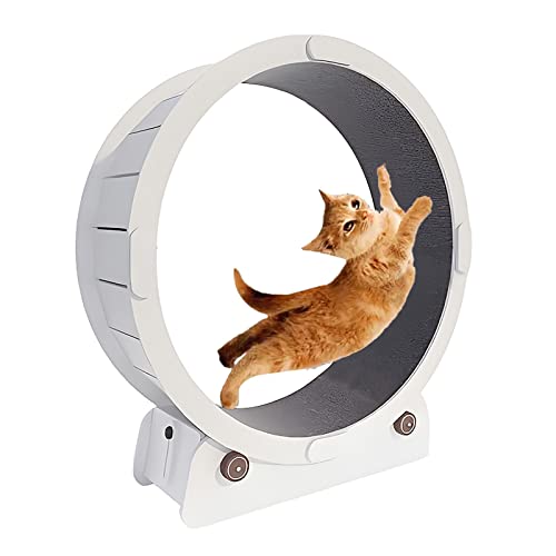 Katzenlaufrad for den Innenbereich, Laufband zur Gewichtsreduktion for Katzen aus weißem Naturholz mit Außenrädern, Katzensportspielzeug, Innendurchmesser 31,5/35,4/39,4 Zoll (Color : White, Size : Katzenlaufrad for den Innenbereich, Laufband zur Gewichtsreduktion for Katzen aus weißem Naturholz mit Außenrädern, Katzensportspielzeug, Innendurchmesser 31,5/35,4/39,4 Zoll (Color : White, Size : von DELURA