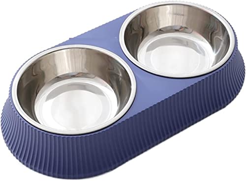 Tragbare Hundewasserflasche, doppelter quadratischer runder Futternapf, Tierfutter- und Wasserspender, aus Edelstahl, Futterspender for Hunde und Katzen (Size : Double Bowl Blue) von DELURA