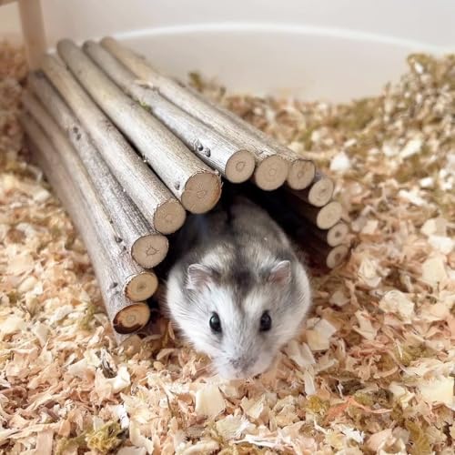 DEMONTALK Natürliches Holz Hamster Maus Tunnel Tube Kleintier Kauspielzeug für Ratten Nagetiere DEMONTALK Natürliches Holz Hamster Maus Tunnel Tube Kleintier Kauspielzeug für Ratten Nagetiere von DEMONTALK