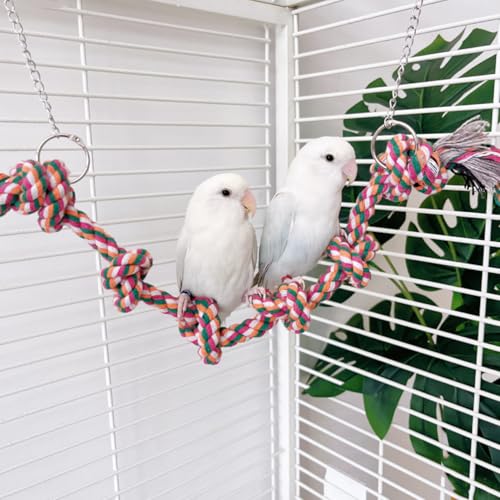 Vogelschaukel für Sittiche, Vogelkäfig Zubehör, Papageien Sitzstange für Wellensittiche, Sittiche, Nymphensittiche Vogelschaukel für Sittiche, Vogelkäfig Zubehör, Papageien Sitzstange für Wellensittiche, Sittiche, Nymphensittiche von DEMONTALK