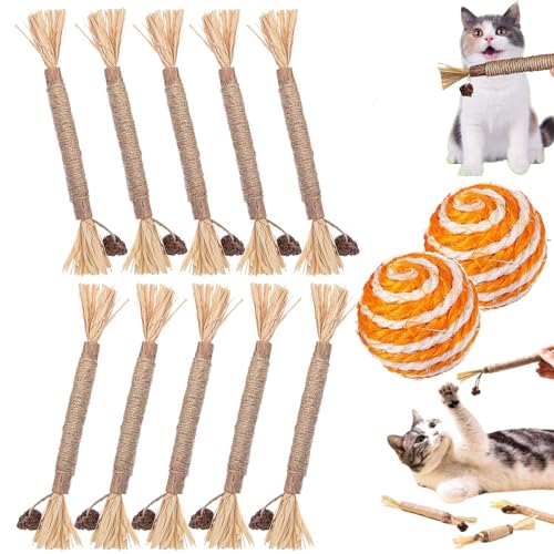 DENGWANG Nunapets Cat Chew Toy, Nunapets Natural Silvervine Stick Cat Chew Toy, Silvervine Sticks for Cats, Cat Teeth Cleaning Sticks, Nunapets Chew Toy for Kittens Teeth Cleaning (10PCS) von DENGWANG