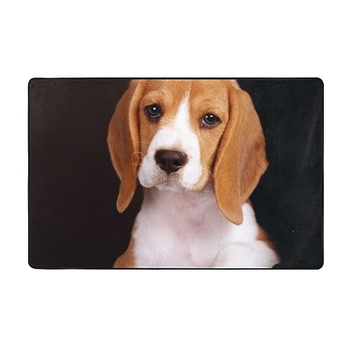 DENMER ovely Haustier-Hunde-Beagle-Bodenmatte, weich und bequem, rutschfest, langlebig, Persönlichkeit, moderner Teppich, Yoga-Schlafsaal, Heimdekoration, 100 x 150 cm (60 x 39) von DENMER