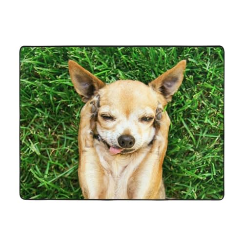 Verschönern Sie Ihr Dekor: Verleihen Sie Ihrem Zuhause Eleganz mit einem atemberaubenden 160 x 121,9 cm großen Chihuahua-Hundeteppich von DENMER