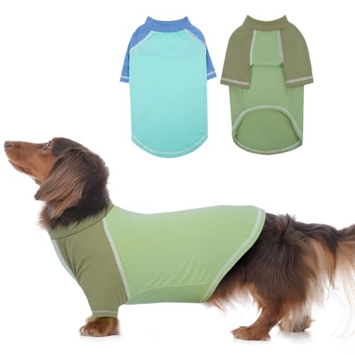 DENTRUN 2 Stück Hunde Shirt, Hund T-Shirt mit Ärmeln, Shirt für kleine Hund, Atmungsaktive und Bequeme Hundebekleidung, Grünland, Bichon Frise (Blau, Grün M) von DENTRUN