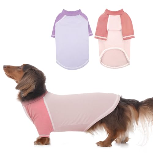 DENTRUN 2 Stück Hunde Shirt, Hund T-Shirt mit Ärmeln, Shirt für kleine Hund, Atmungsaktive und Bequeme Hundebekleidung, Grünland, Bichon Frise (Rosa, Lila M) von DENTRUN