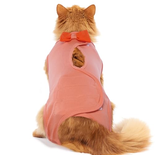 DENTRUN Katzen-Nachbehandlung Anzug Katzen Overall für Post Kastration OP Weibliche Kätzchen Hemd Anti Lecken Premium Softweste Kegel Halskragen Alternative männliche Katzen-Kleidung DENTRUN Katzen-Nachbehandlung Anzug Katzen Overall für Post Kastration OP Weibliche Kätzchen Hemd Anti Lecken Premium Softweste Kegel Halskragen Alternative männliche Katzen-Kleidung von DENTRUN