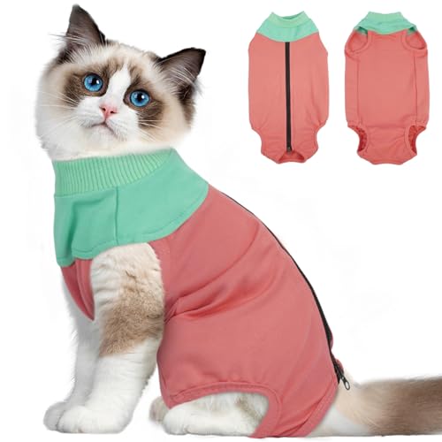 DENTRUN Body Katze Nach Op Ärmellos Op Body Katze Kastration Katzen Body Operation Männliche Mieze Katzen E-Halsband Alternative Wunden Schützen (Rosa, XL) von DENTRUN