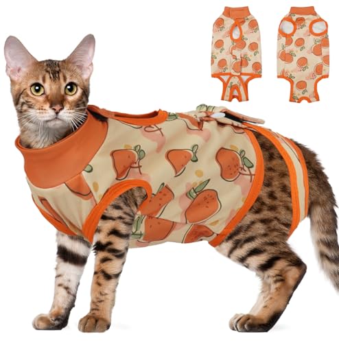DENTRUN Katzen OP Body Bequemer Body für Katzen nach OP mit eng anliegendem Schnitt Perfekt bei Hautreizungen Wundpflege Weibliche(Orange, M) von DENTRUN