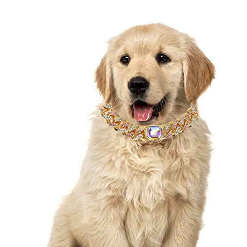 DERCLIVE Goldfarbenes Hundehalsband mit Kristallen, kubanische Gliederkette, Hundehalsband, Welpen-Kostüm von DERCLIVE