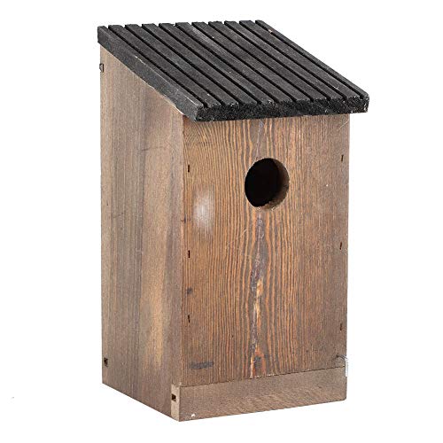 DERCLIVE Hängendes Holz Vogelhaus DIY Zucht Papageien Vogel Nistkasten für Outdoor Garten Dekoration von DERCLIVE