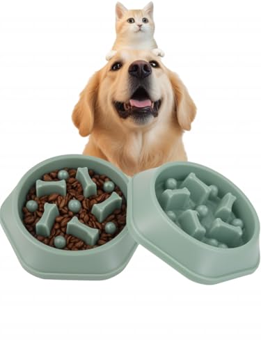 DERDOUT Slow Feed Hundenapf, Anti-Schwellung, Anti-Schlucken, gesunde Ernährungsinteraktion, rutschfester Futternapf für kleine und mittelgroße Hunde, Grün von DERDOUT