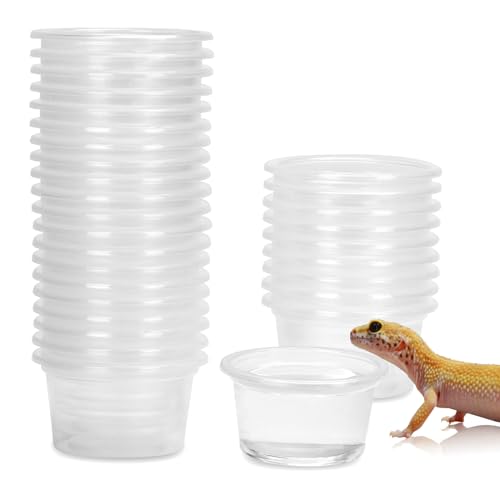 DERNORD Gecko Futternapf Reptilien Vivarium Plastikschüsseln Feeder Wasserschale 5X3CM Magnet Stark Chamäleon Crested Gecko Zubehör 30PCS von DERNORD