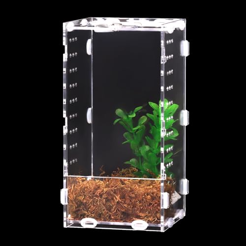 DERNORD Reptilien Acryl Spinnen Terrarium - Acrylbox Vivarium 20x10x10cm Klares Acryl für Springspinnen Tarantula Insekt von DERNORD