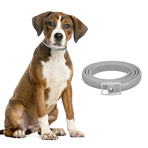 DEWEL Hundehalsbänder gegen Ungeziefer, 63,5cm Verstellbar Anti Floh und Zecken Halsband für Hunde, Wasserdicht Flohhalsband von DEWEL