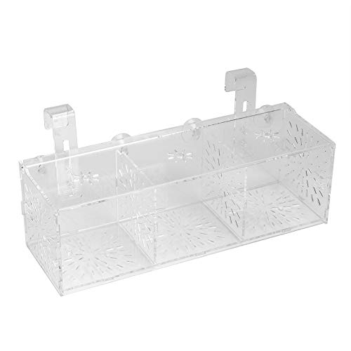 DEWIN Transparenter Aquarium Hatchery Inkubator, transparente Acryl-Aquariumzucht-Isolationsbox(30CM*10CM*10CM) von DEWIN
