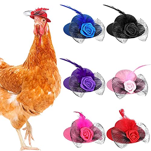 DEWU Hühnerhut für Hühner – -Hut für kleine Haustiere, lustiges Hühner-Zubehör mit verstellbarem, elastischem Kinnriemen für Partys von DEWU