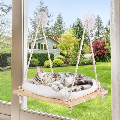 DEXLALA Katzen-Fensterstange – Katzen-Fensterhängematte mit Kissenbett – Massivholzsitz & starke Saugnäpfe – Katzenfensterbett & Möbel für den Innenbereich – Hängendes Fensterregal für Katzen und DEXLALA Katzen-Fensterstange – Katzen-Fensterhängematte mit Kissenbett – Massivholzsitz & starke Saugnäpfe – Katzenfensterbett & Möbel für den Innenbereich – Hängendes Fensterregal für Katzen und von DEXLALA