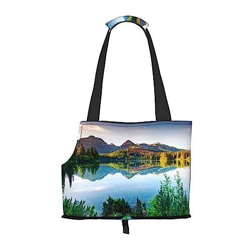 Mountain View Sunny Day Nature Kleine Hundetragetasche, tragbar, für kleine Hunde/Katzen, weiche Seiten, Haustier-Einkaufstasche von DEXNEL