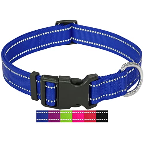 DEY - Premium Hundehalsband Nylon, Reflektierend, Verstellbar, für Kleine u. Große Hunde, viele Farben u. Größen, Halsband Hund Welpe, Hunde-Halsbänder, Katzen-Halsband, Welpen-Halsband, Blau, L von DEY