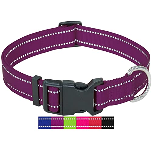 DEY - Premium Hundehalsband Nylon, Reflektierend, Verstellbar, für Kleine u. Große Hunde, viele Farben u. Größen, Halsband Hund Welpe, Hunde-Halsbänder, Katzen-Halsband, Welpen-Halsband, Lila, L von DEY