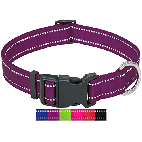 DEY - Premium Hundehalsband Nylon, Reflektierend, Verstellbar, für Kleine u. Große Hunde, viele Farben u. Größen, Hund Welpe, Hunde-Halsbänder, Katzen-Halsband, Welpen-Halsband, Lila, S DEY - Premium Hundehalsband Nylon, Reflektierend, Verstellbar, für Kleine u. Große Hunde, viele Farben u. Größen, Hund Welpe, Hunde-Halsbänder, Katzen-Halsband, Welpen-Halsband, Lila, S von DEY