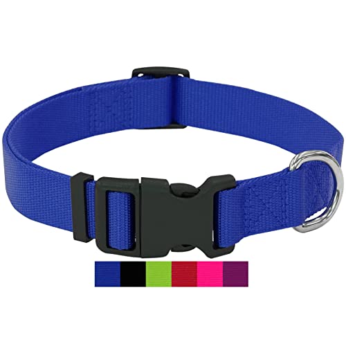 DEY - Premium Hundehalsband Nylon | Verstellbar | für Kleine u. Große Hunde | viele Farben u. Größen | Halsband Hund Katze Welpe | Hunde-Halsbänder | Katzen-Halsband | Welpen-Halsband | Blau, L von DEY
